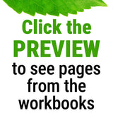 Kindergarten Math Intervention Preview