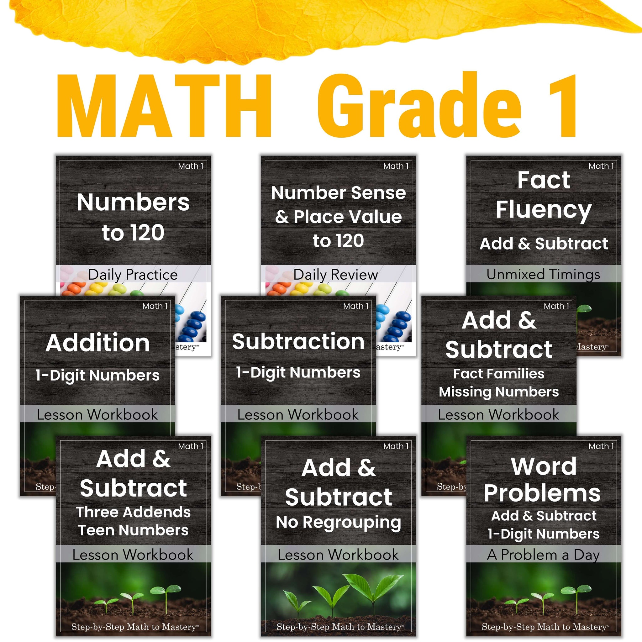 Special Education Math Program 1st Grade Special Ed Math with Progress Monitoring – Step-by-Step Math ...