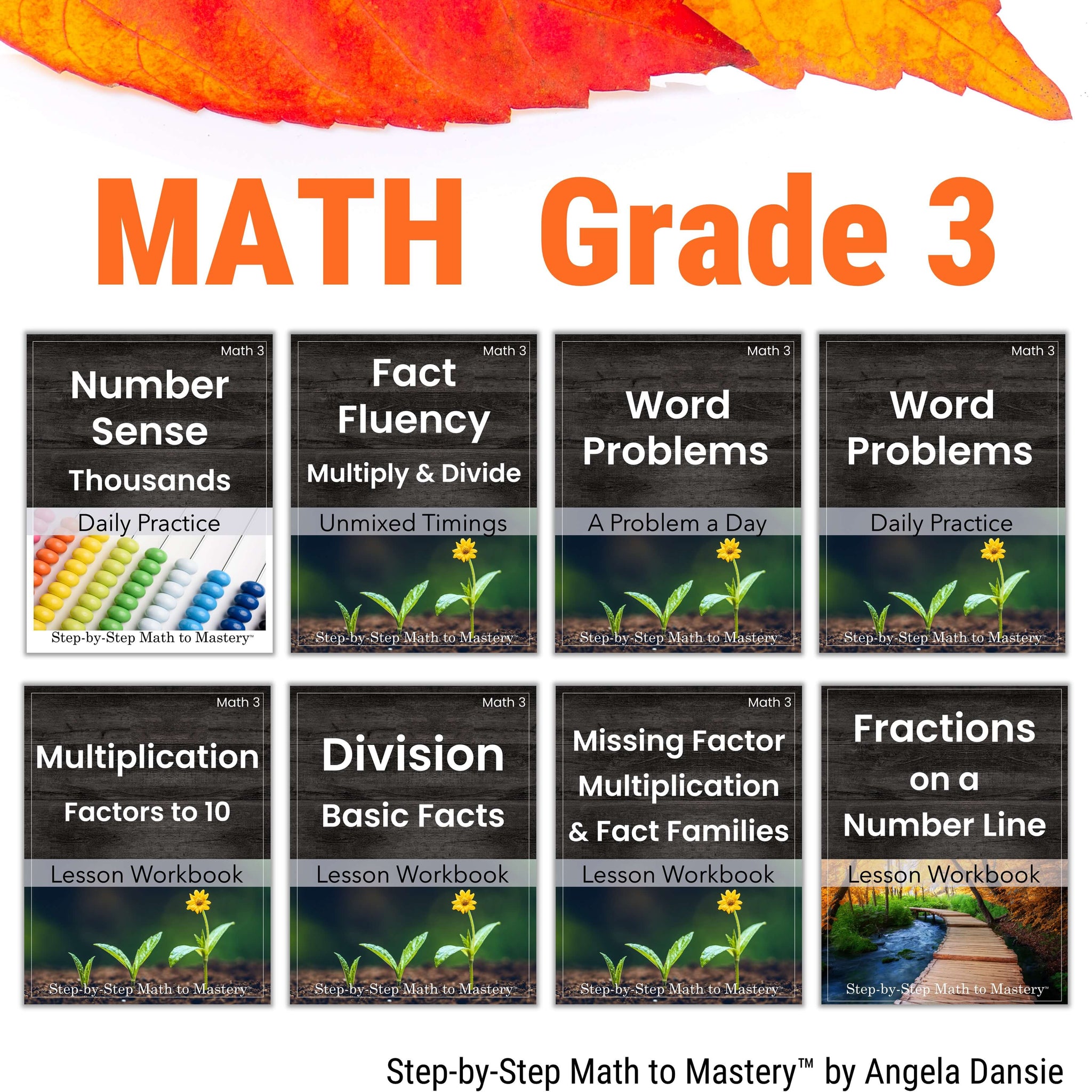 Special Education Math Program 3rd Grade Special Ed Math with Progress Monitoring – Step-by-Step Math ...