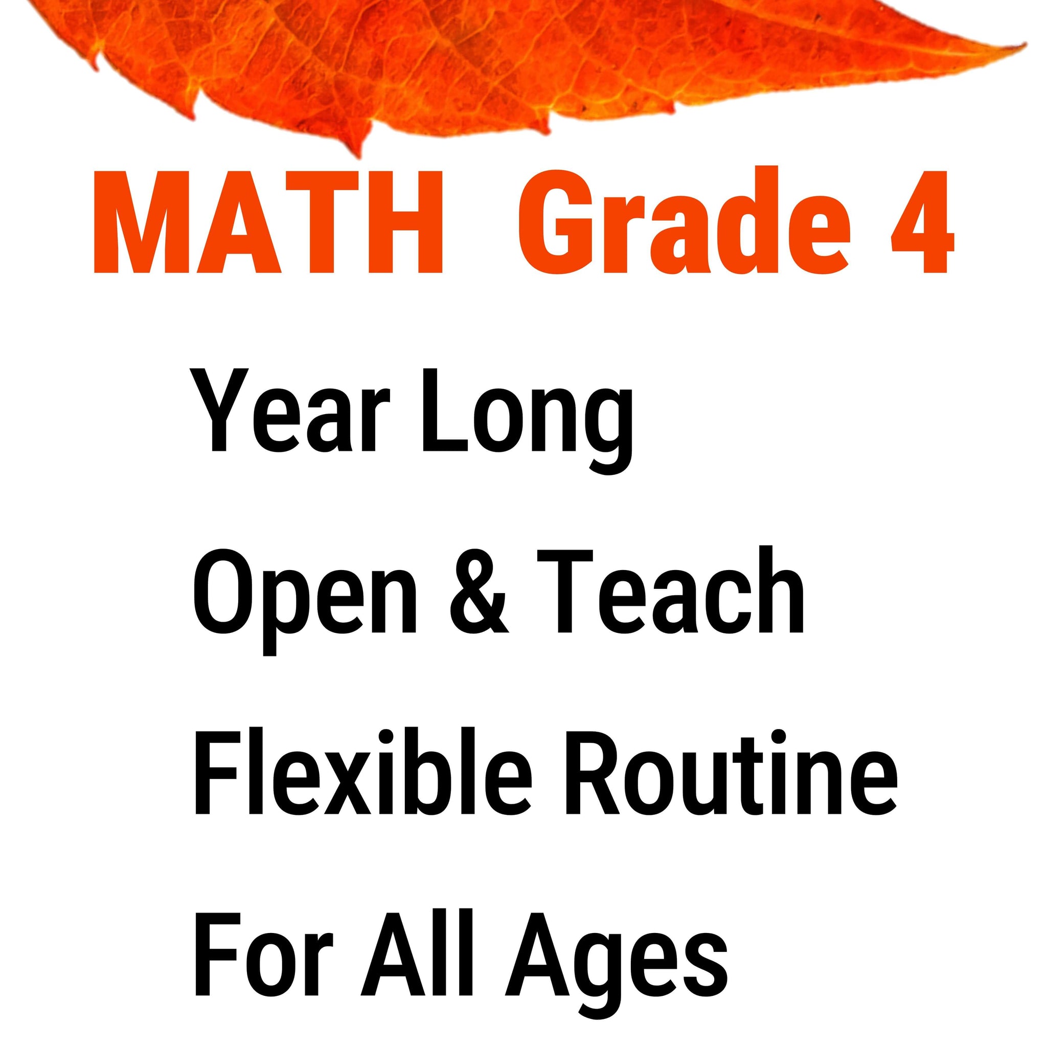 4th Grade Functional Math Curriculum for Homeschool – Step-by-Step Math ...