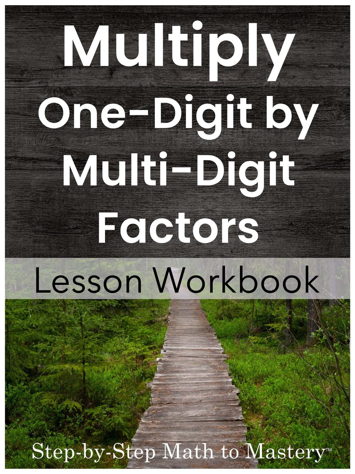 Multiplication: One-Digit by Multi-Digit, 4th Grade Special Ed Math ...